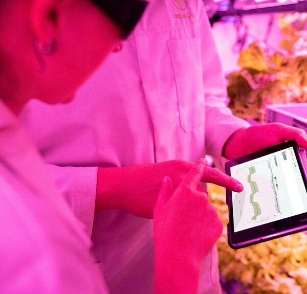 enhance growth with digital tools