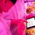 enhance growth with technology